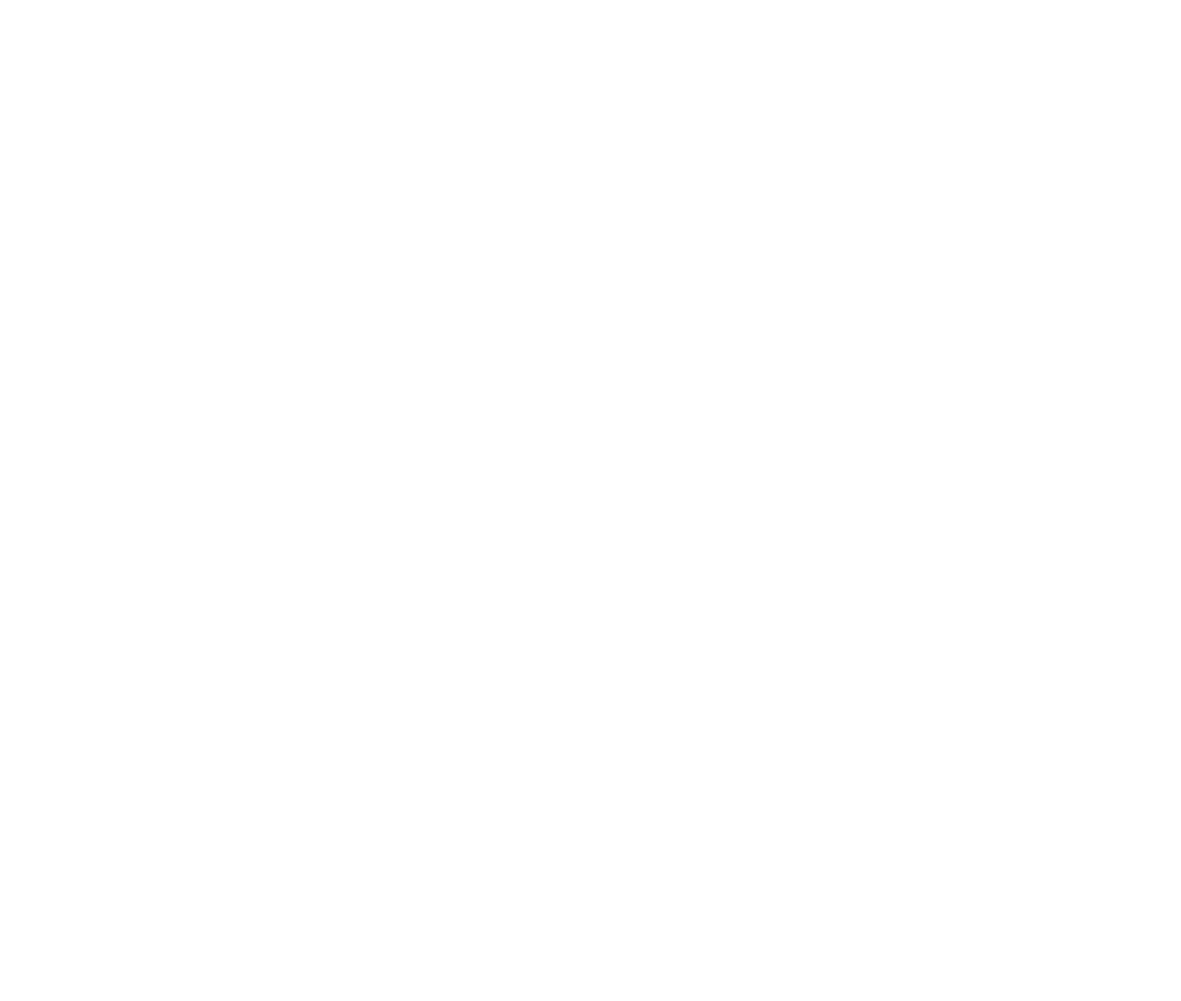 icon-laptop-user